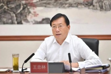 王忠林任湖北代省长王晓东辞任