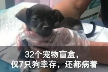 盖茨去年退出董事会与女员工有不正当关系