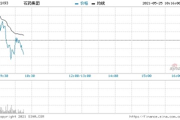 中泰国际石药集团2021年1季度业绩略超预期