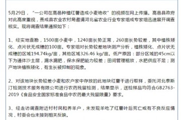 媒体人发布毒红薯事件被威胁48小时删帖金财经怒怼不撤稿继续关注直到真相大白