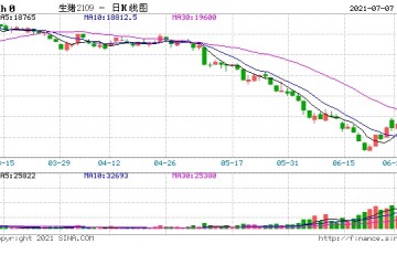 四川出台十条措施稳定生猪生产及价格