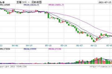 二师兄养不起了行业老二半年亏14亿称养猪业主线一定是降成本